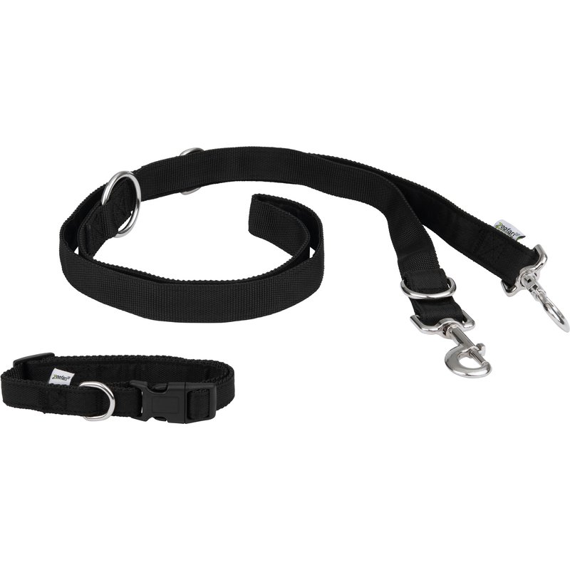 zoofari® Collier pour chien avec laisse (Collier S et laisse de chien)