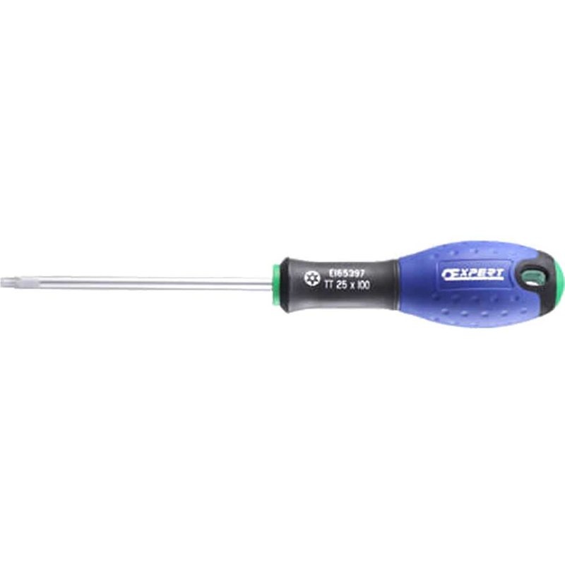 Expert by Facom Torx Screwdriver Bit T15 25mm Pack of 3