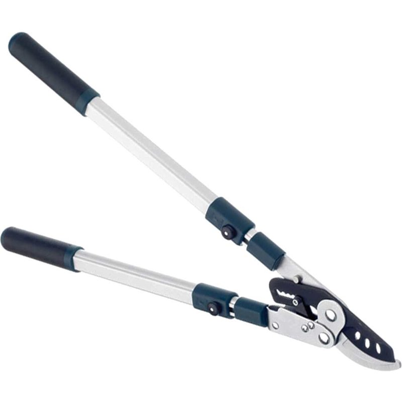 Bulldog BD3113TW Evergreen Extending Bypass Loppers BD3113TW