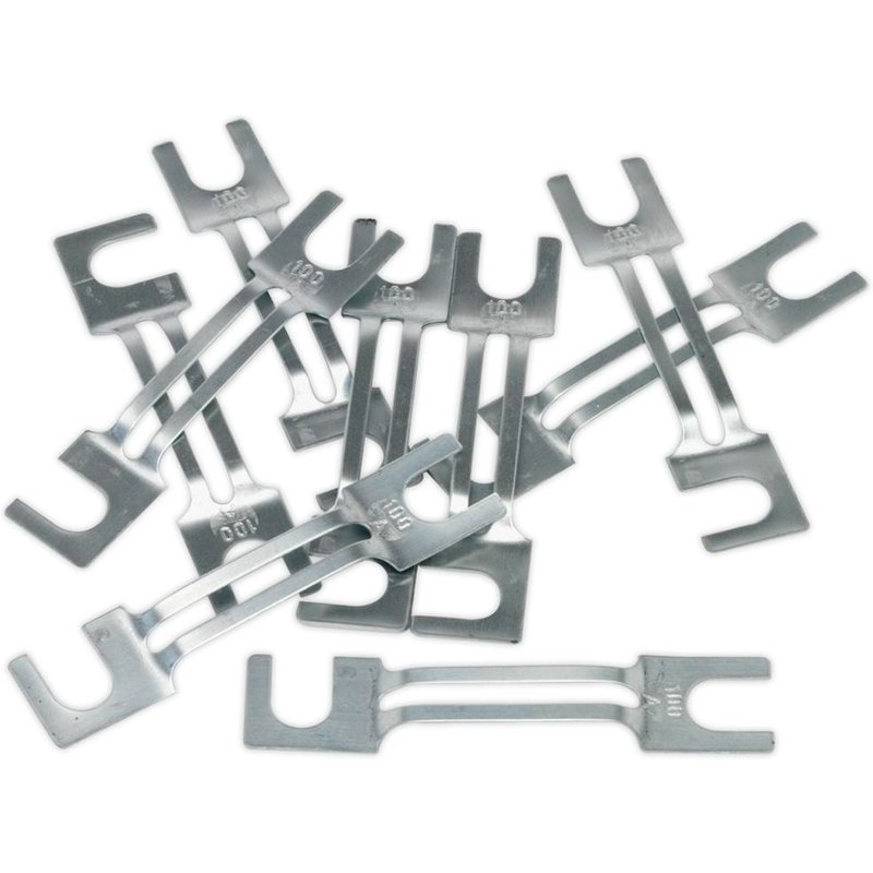 Sealey Large Type Fuses 100A Pack of 10