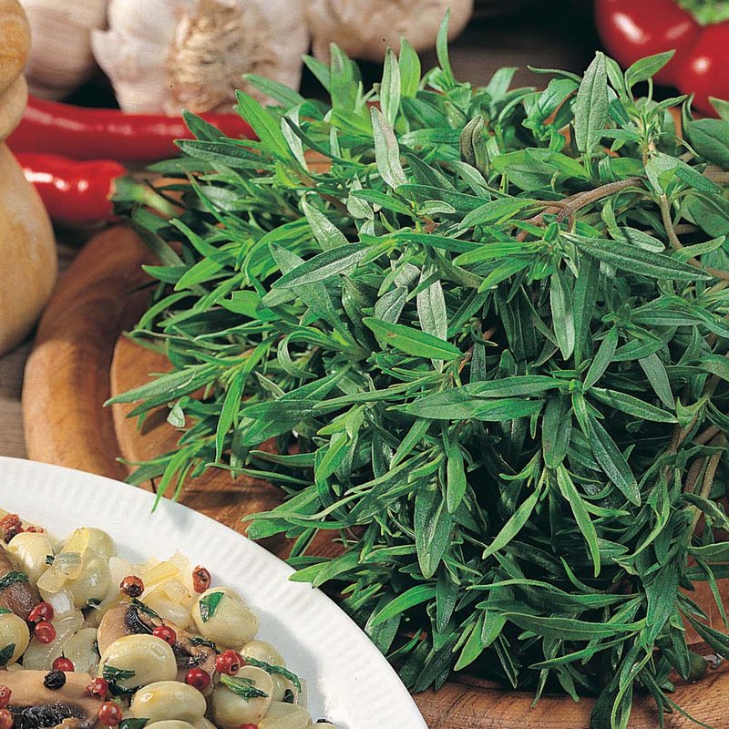 Summer Savory - Herb Seeds