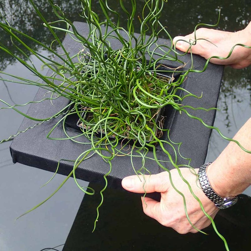 Floating Aquatic Planting Basket (25cm)