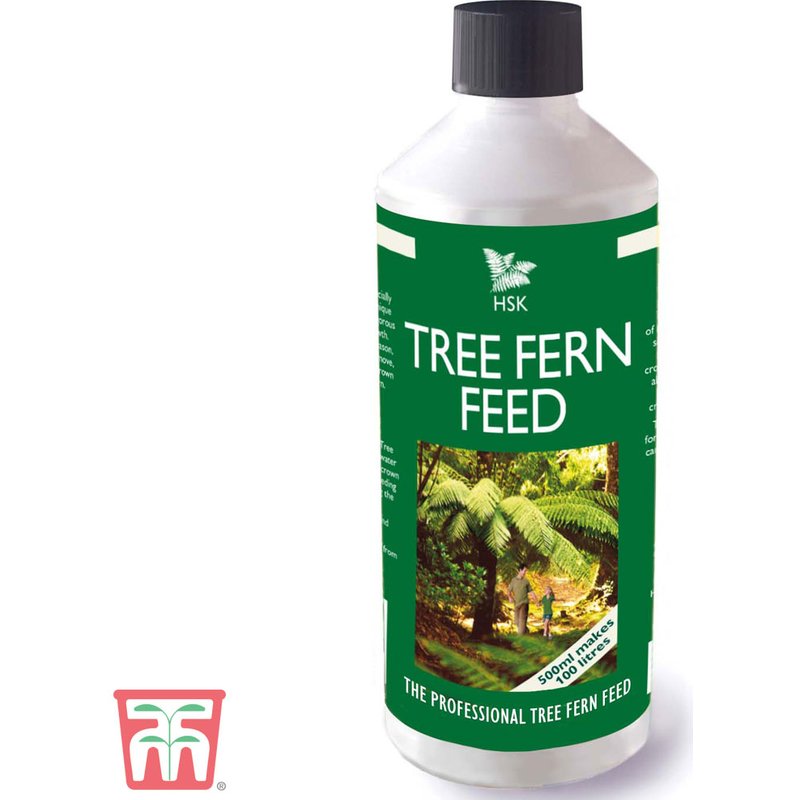 Tree Fern Feed