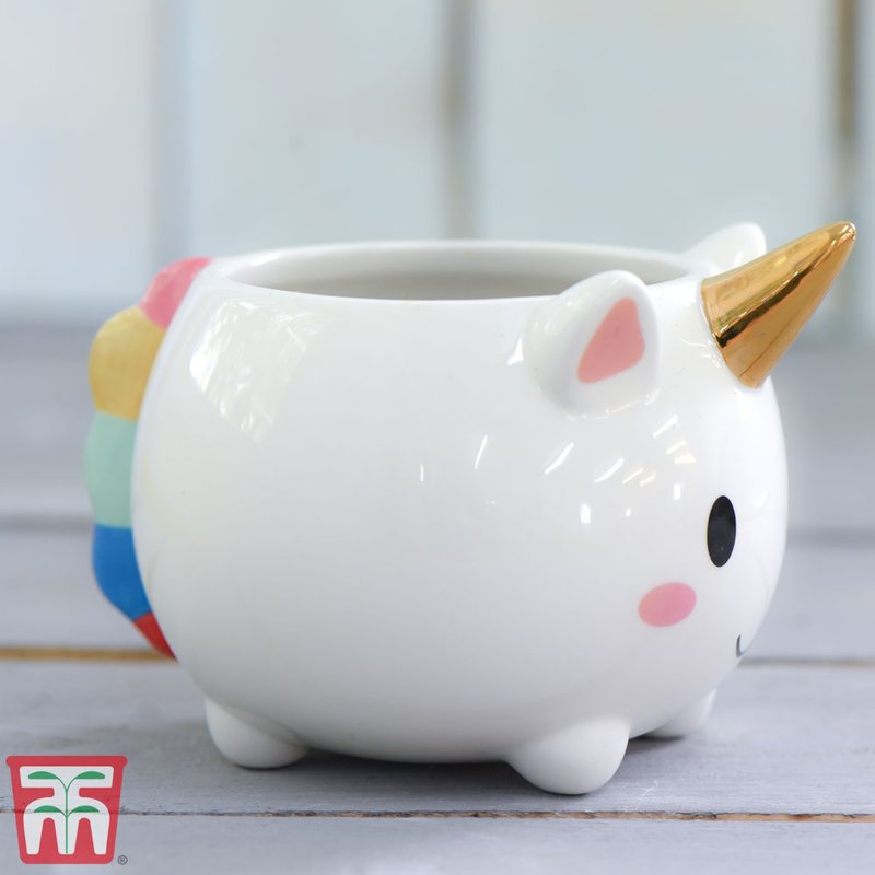 Garden Gear - Unicorn Pot with Gold Horn
