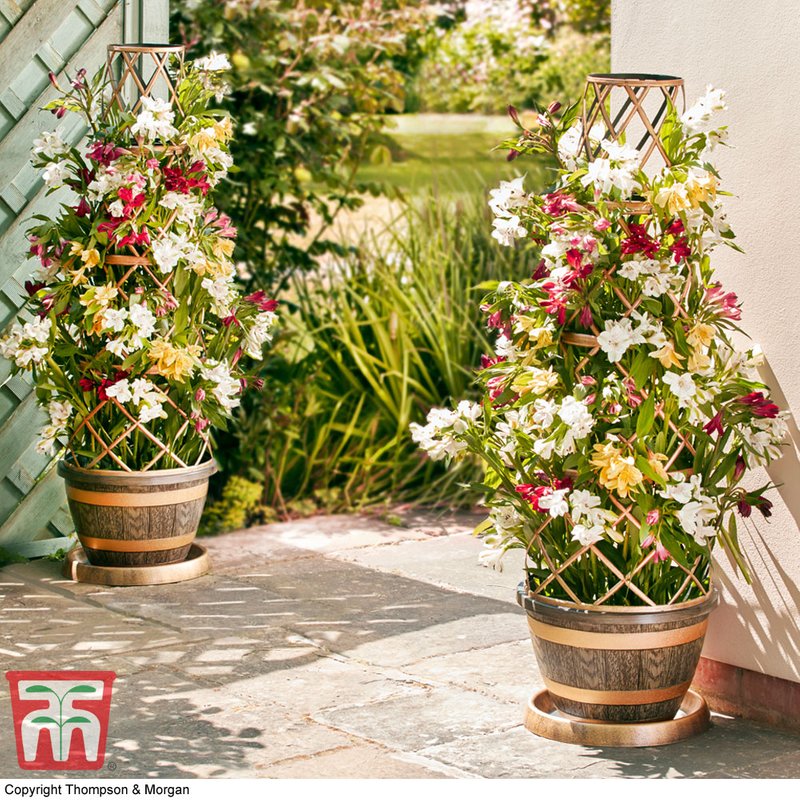 Garden Gear - Wooden Barrel Effect Tower Pot