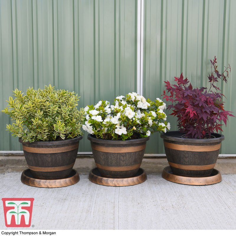 Garden Gear - Wooden Barrel Effect Pot & Saucer