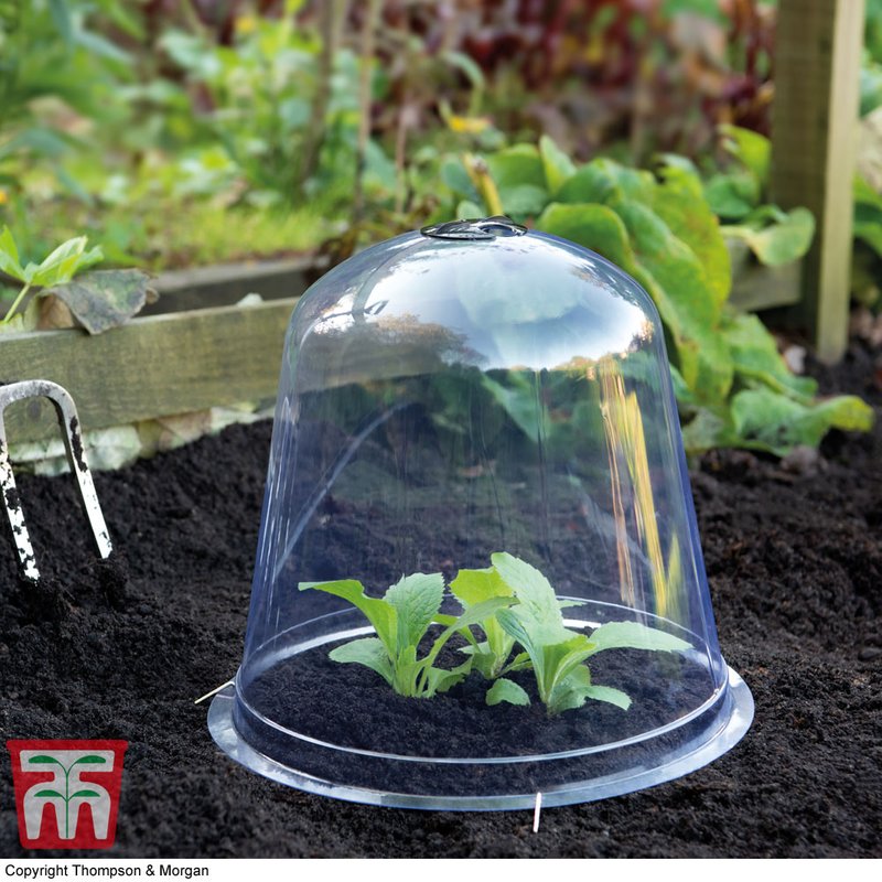 Garden Gear - Bell Cloche
