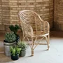 Photo of cania dining chair - bamboo - natural