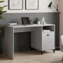 Photo of lakers locker desk - 1 door - grey
