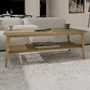 Photo of scandic coffee table - large - with shelf - danish oak