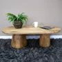 Photo of coffee table - oval - mango wood