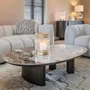 Photo of langford coffee table - low - oval - brown - ceramic and oak