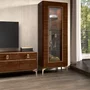 Photo of modern eva vitrine - 1 glass door - walnut with gold trim